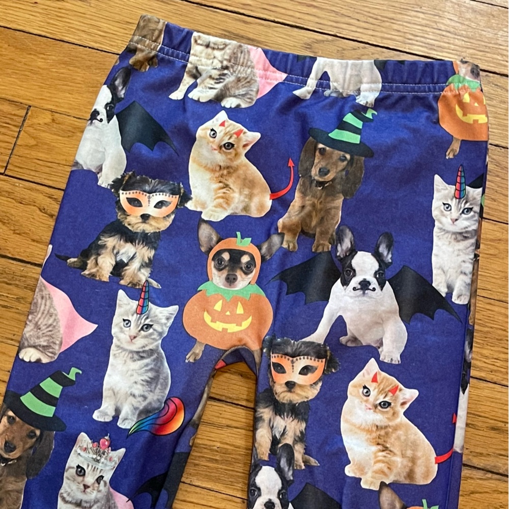 Capelli of New York Kids Leggings - Blue with Halloween Pets